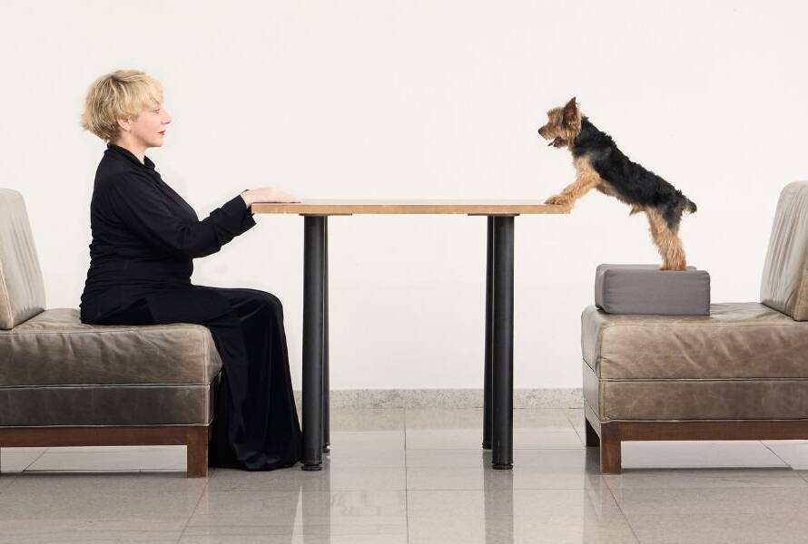 "PERROS - Diálogos Caninos" estreia na Mostra de Teatro Internacional de São Paulo em 5/3