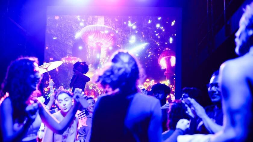 Mostra de Microcenas dos estudantes do módulo verde do curso regular de Direção da SP Escola de Teatro. (17/05/2025). | Foto: Clara Silva