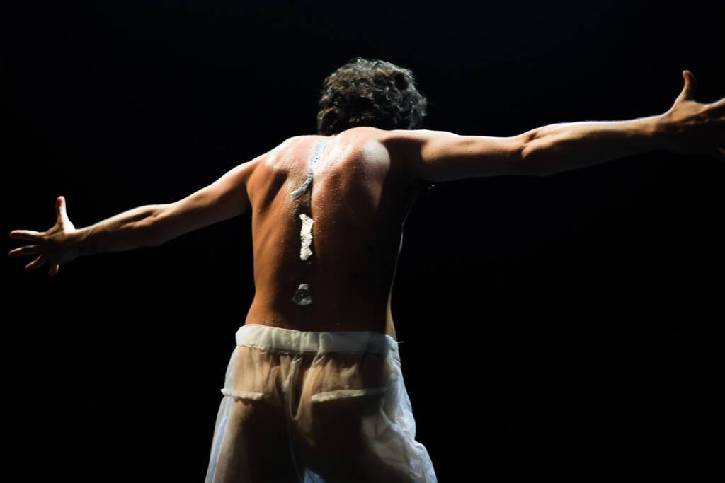 Encarnación, de Flow Kountouriotis no SP Transvisão 2026. (27/01/2026). | Foto: Clara Silva.