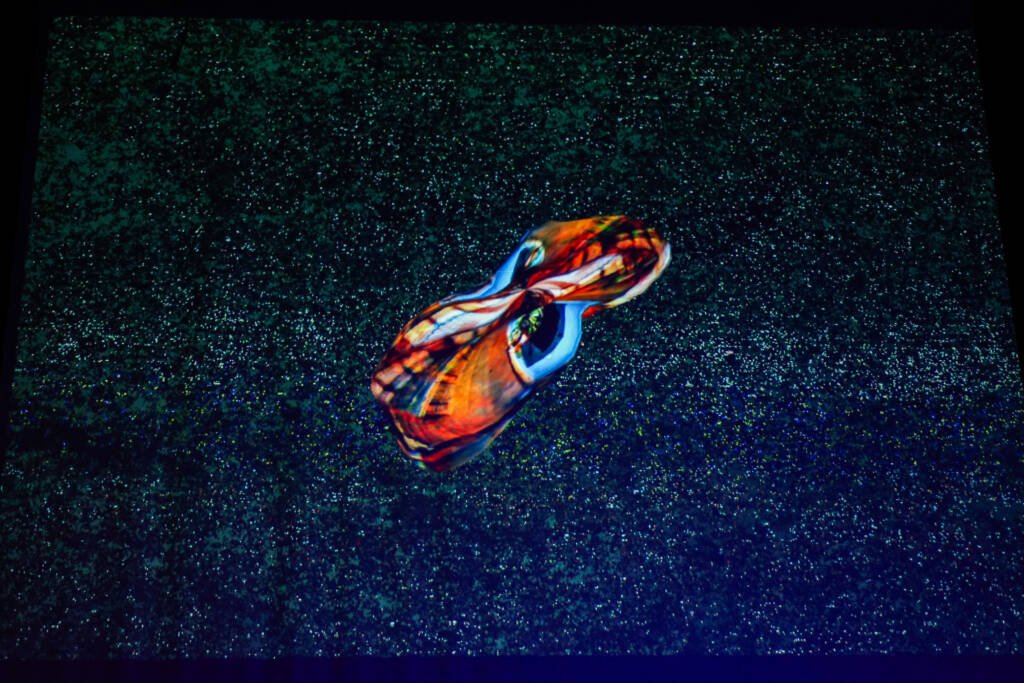 Performance internacional de Per Hüttner. (20/02/2026) | Foto: Clara Silva.